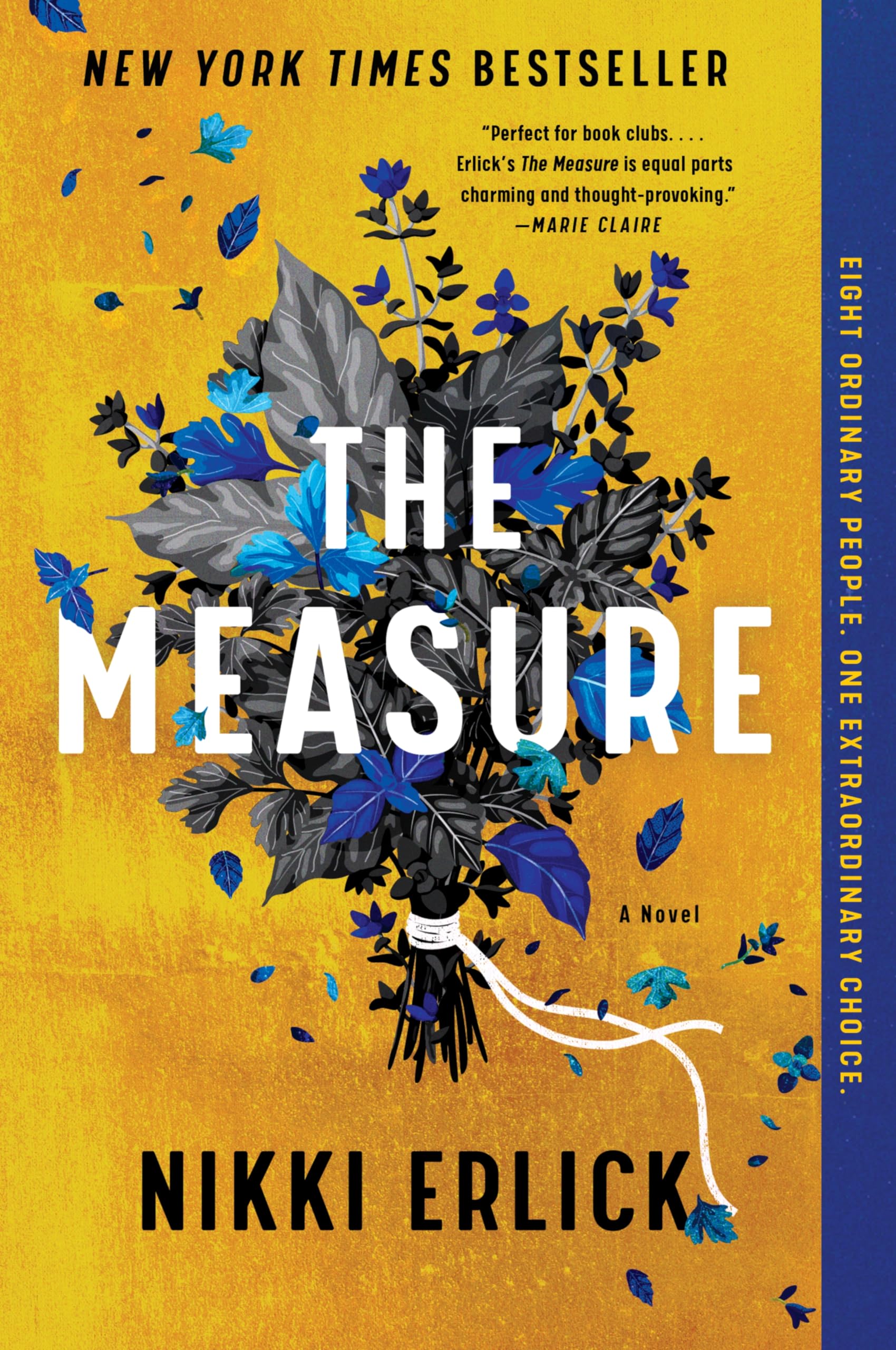 The Measure: A Novel – The Instant New York Times Bestseller About Hope, D…