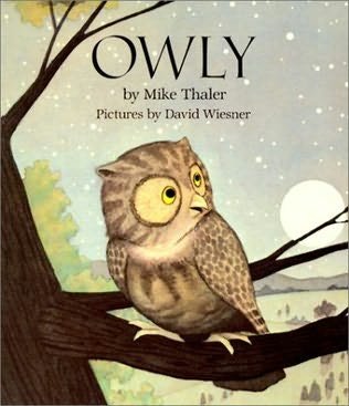 Owly - Picture 1 of 1