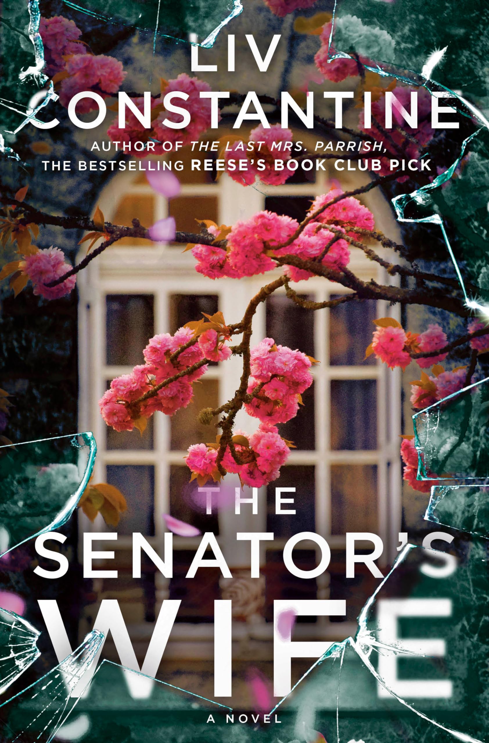 The Senator’s Wife: A Novel – hardcover Constantine, Liv