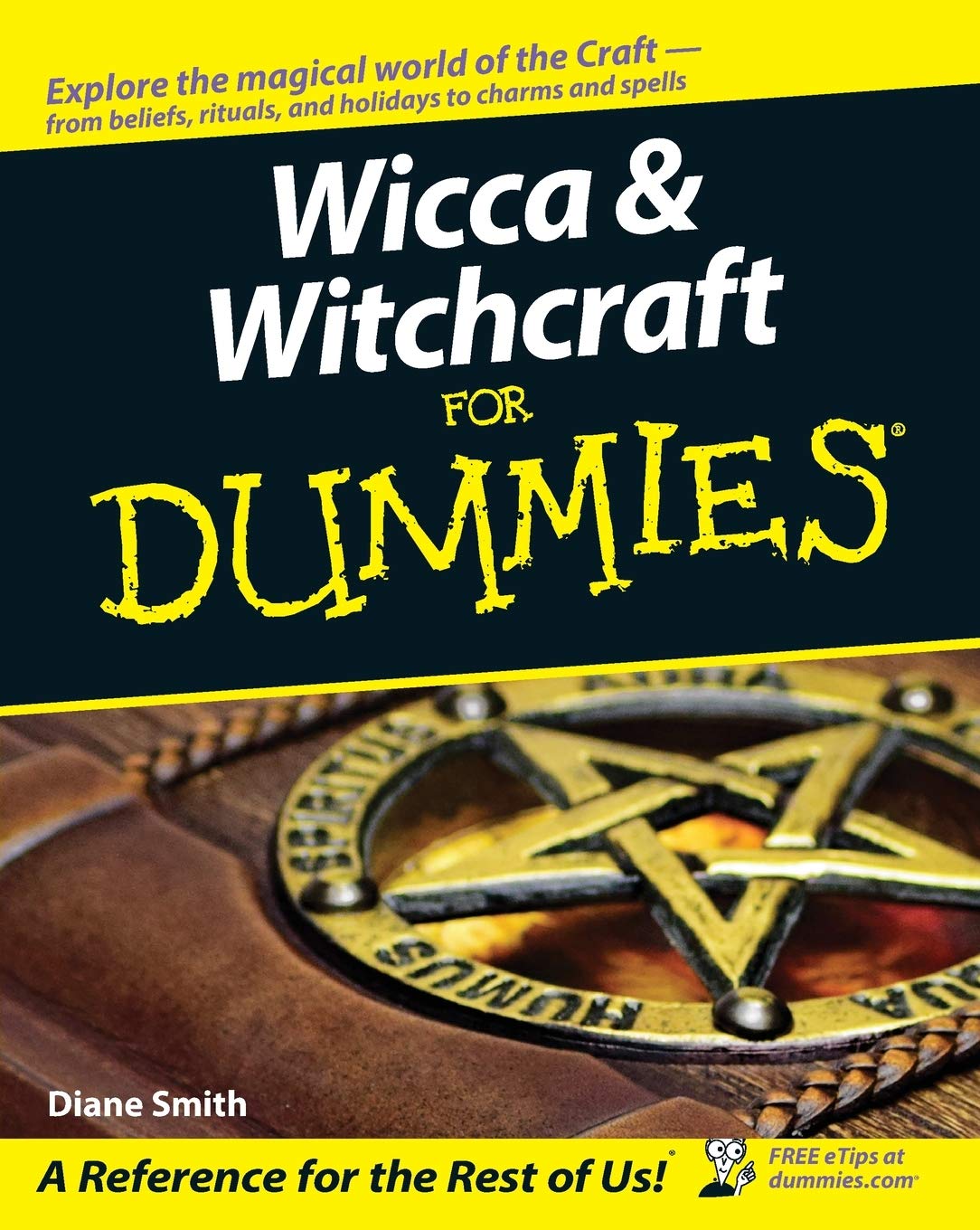 Wicca and Witchcraft For Dummies (For Dummies Series) - paperback Smith, Dia...