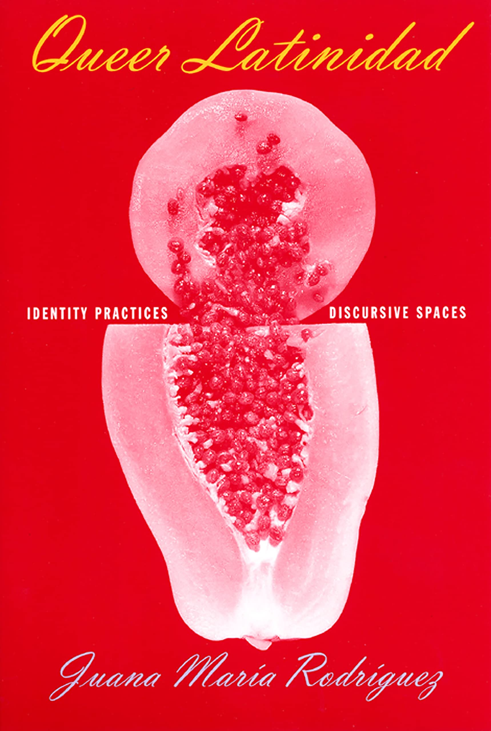 Queer Latinidad: Identity Practices, Discursive Spaces (Sexual Cultures, 24)