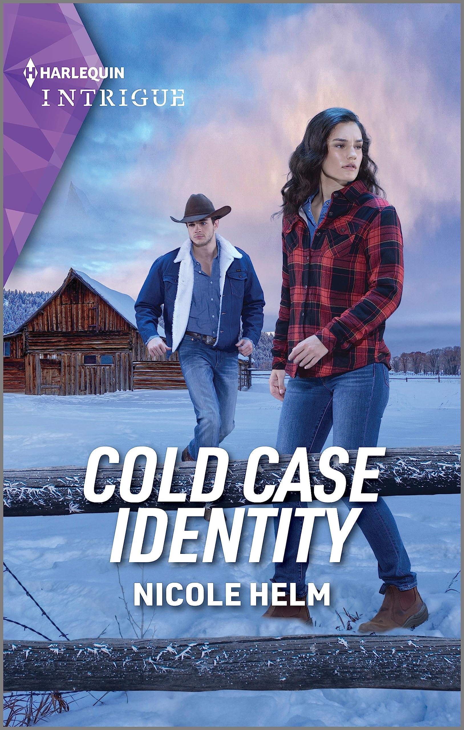 Cold Case Identity (Hudson Sibling Solutions, 2) - Picture 1 of 1