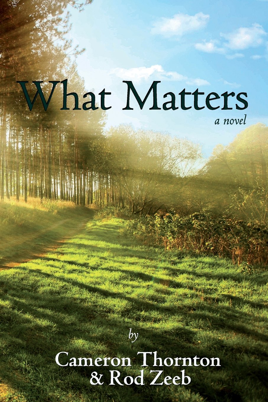 What Matters: A Novel – Zeeb, Rod – Good – See condition notes