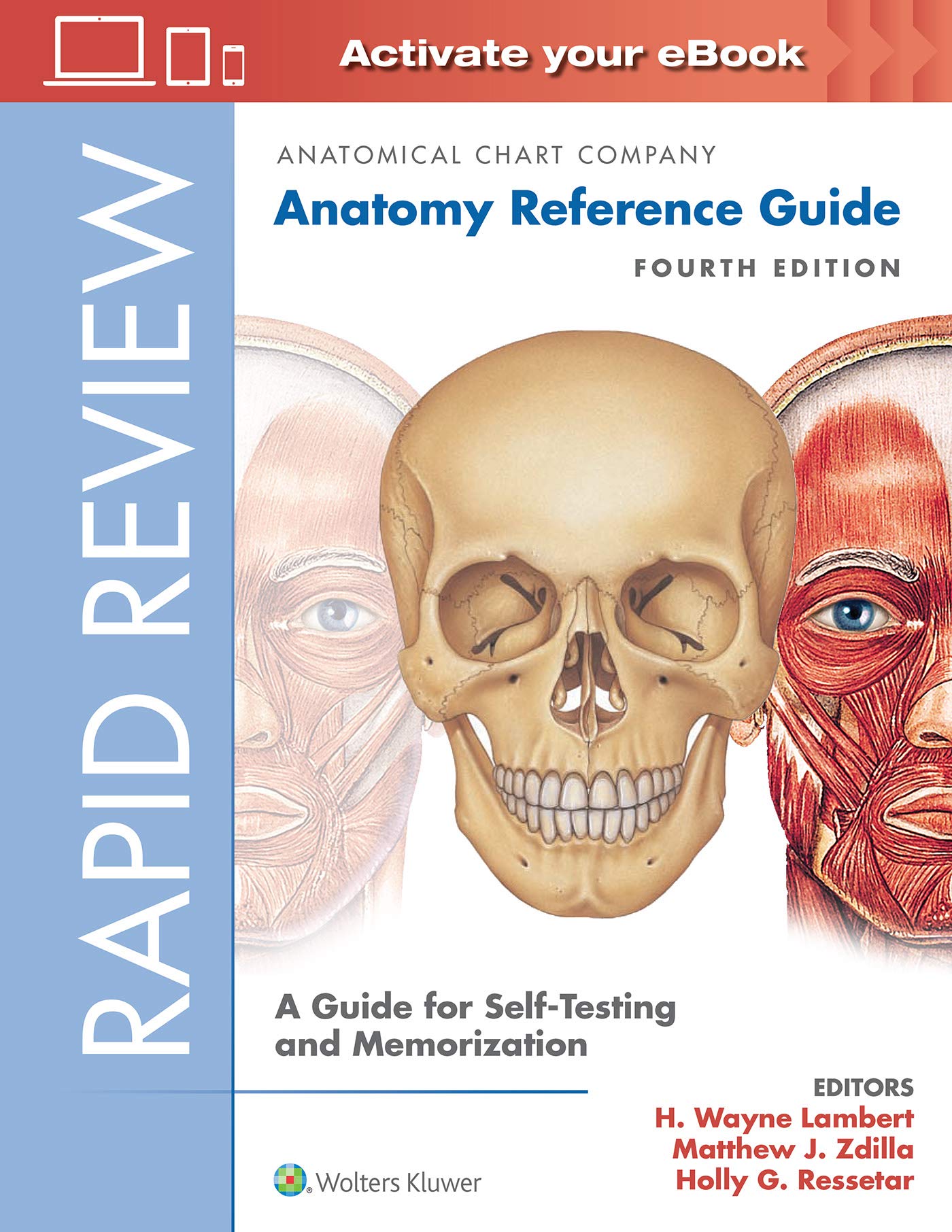 Rapid Review: Anatomy Reference Guide: A Guide for Self-Testing and Memoriza…