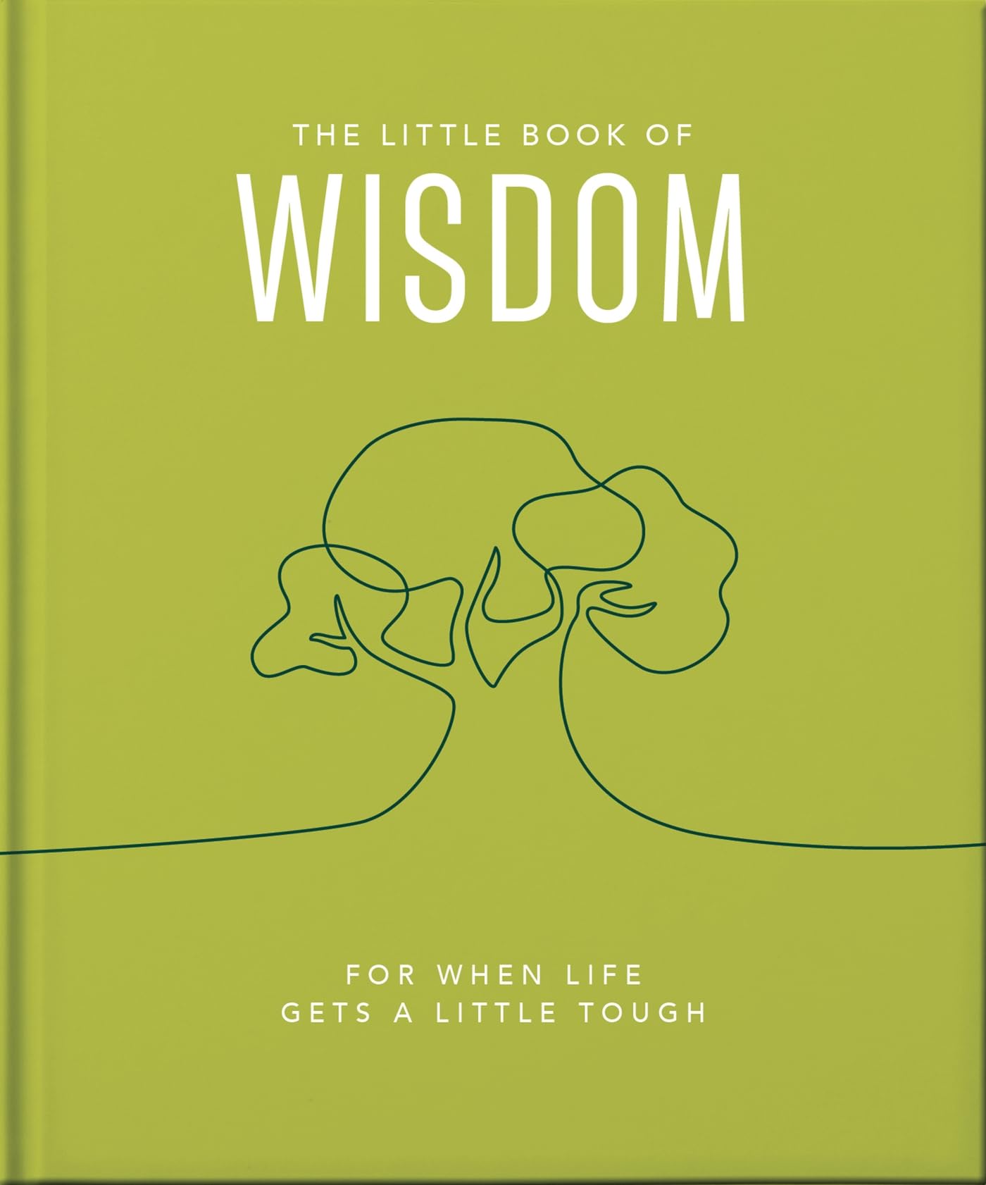 The Little Book of Wisdom: For when life gets a little tough (Little Books o...
