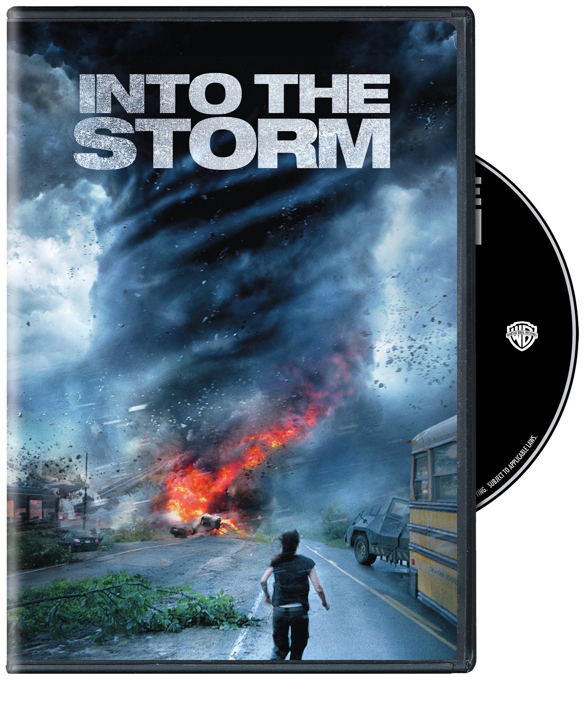 Into The Storm (DVD) - Picture 1 of 1
