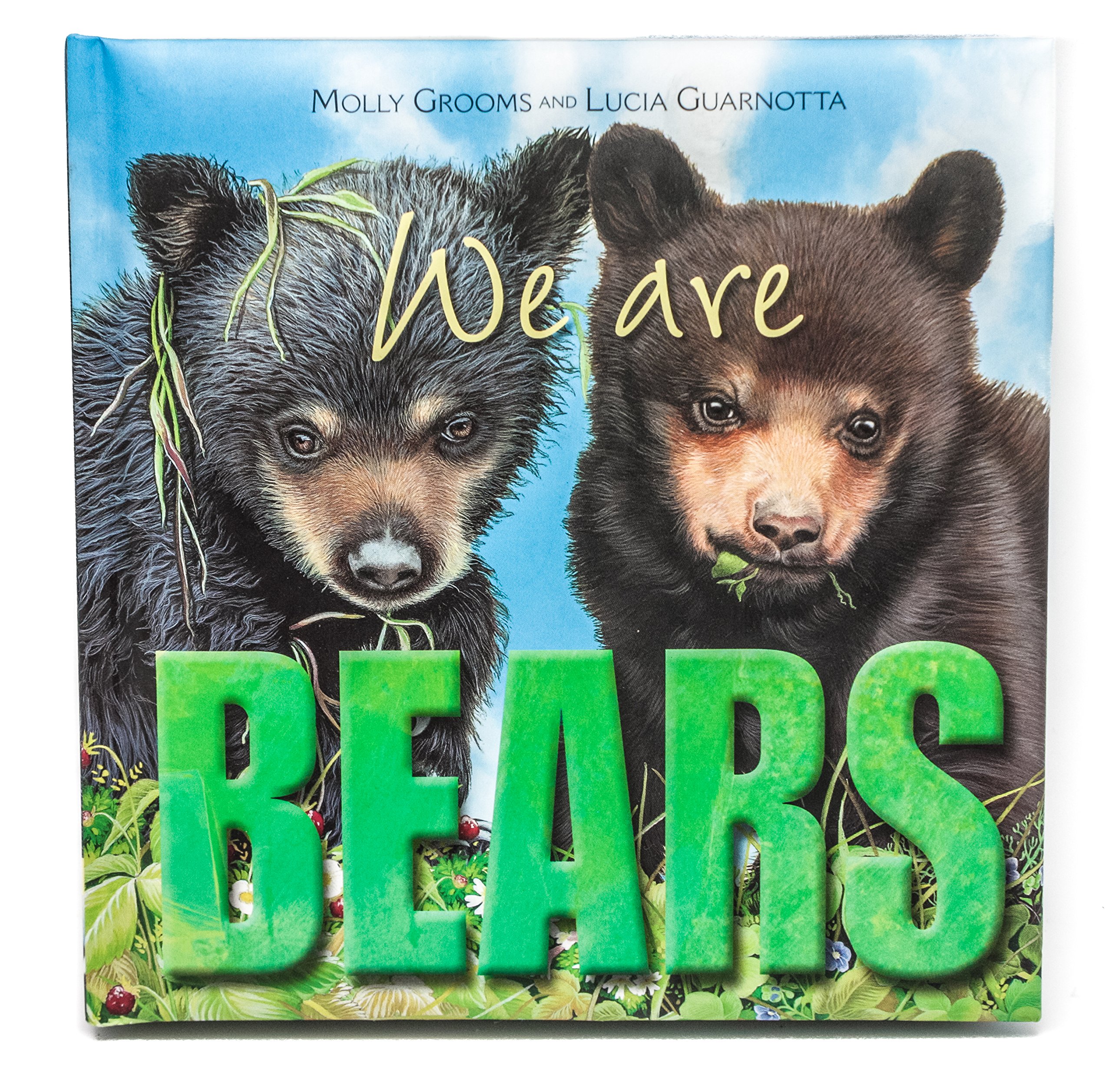 We Are Bears